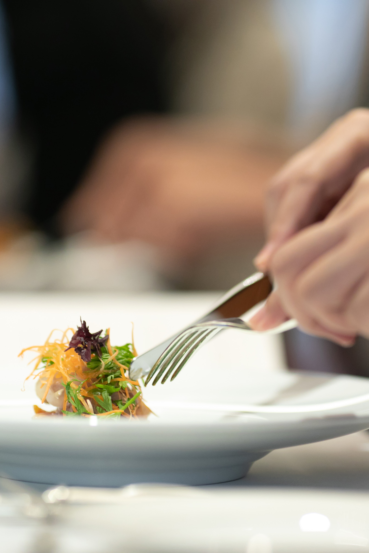 冬から春のパーティープラン