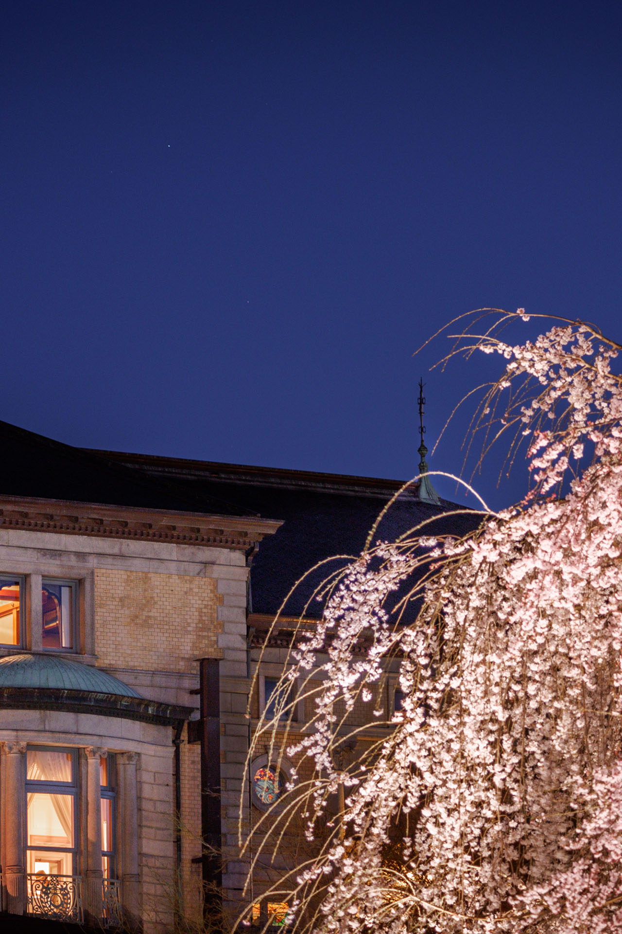 20年の節目を祝う記念日ステイ