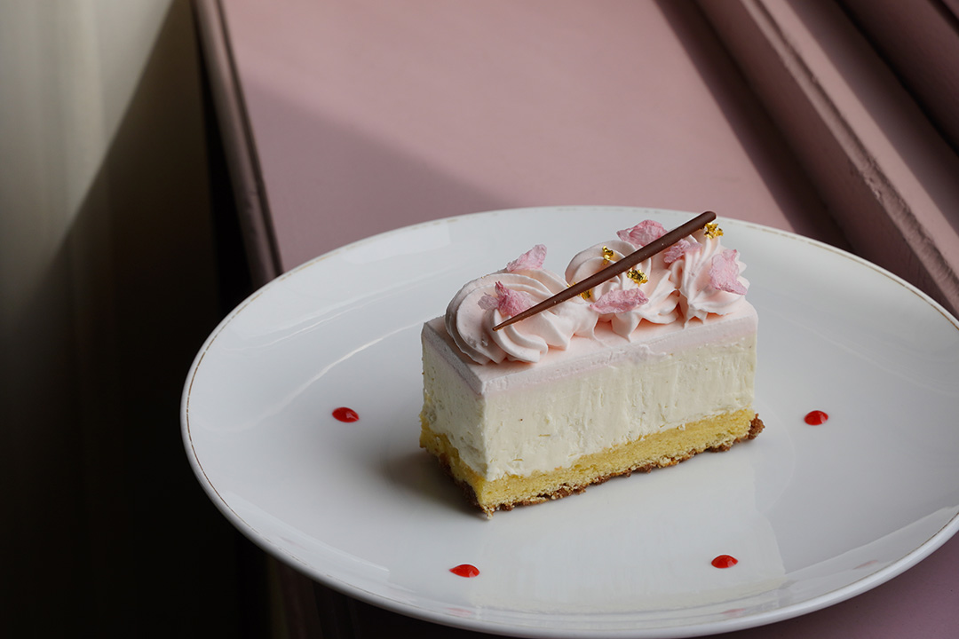 桜のレアチーズケーキ